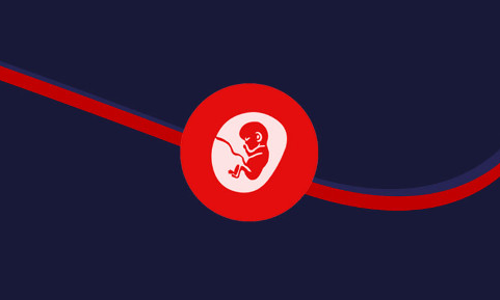 बॉम्बे हाईकोर्ट कोख किराए पर देने वाली महिला को उसके बच्चे के होने वाले माँ-बाप की अनुमति से 24 सप्ताह के गर्भ को नष्ट करने की अनुमति दी