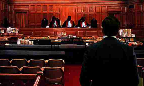 कोर्ट में वकील को क्या खड़े रहकर पैरवी करनी चाहिए? BCI करेगी फैसला, जानिए पूरा मामला