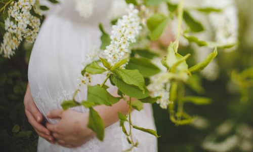 संविदा कर्मचारियों को मातृत्व लाभ अधिनियम पाने का हक है या नहीं? दिल्ली HC करेगा फैसला