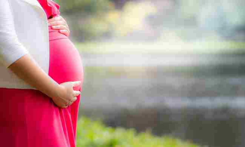 कर्नाटक हाईकोर्ट ने 31 सप्ताह के गर्भ को समाप्त करने की अनुमति दी, भ्रूण में थीं असामान्यताएं