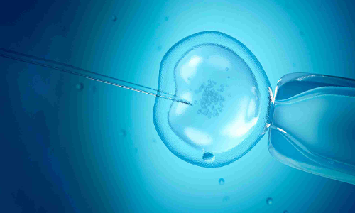 पत्नी ने अलग रह रहे पति से दूसरे बच्चे की इच्छा जताई, बॉम्बे हाईकोर्ट ने निचली अदालत के आदेश को खारिज किया