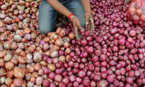 प्याज़ की बढ़ती कीमतों के विरोध में वकील ने केरल हाईकोर्ट में जनहित याचिका दायर की