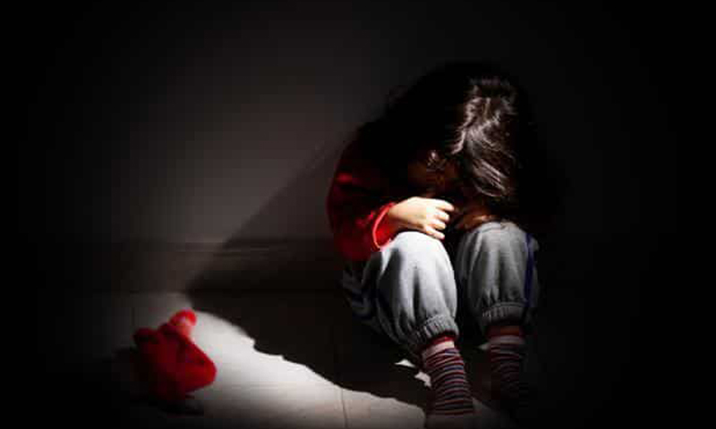 लैंगिक अपराधों से बालकों का संरक्षण अधिनियम, 2012 भाग 28: पॉक्सो अधिनियम के अंतर्गत बनाए गए विशेष न्यायलयों की प्रक्रिया