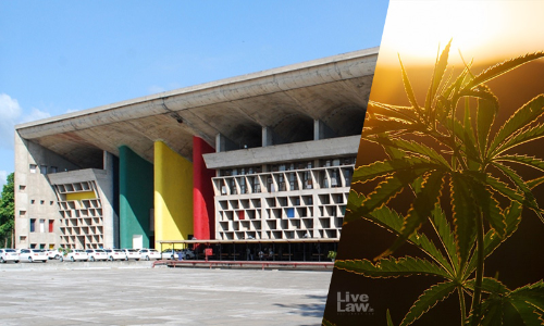 एनडीपीएस अधिनियम : पंजाब एंड हरियाणा हाईकोर्ट ने दो किलो गांजा से जुड़े मामले में पहली बार जुर्म करने के आरोपी को जमानत दी एनडीपीएस अधिनियम : पंजाब एंड हरियाणा हाईकोर्ट ने दो किलो गांजा से जुड़े मामले में पहली बार जुर्म करने के आरोपी को जमानत दी