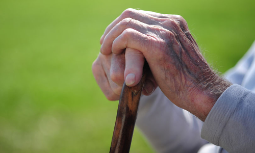 सीनियर सिटीजन एक्ट, 2007 के उचित कार्यान्वयन के लिए उठाए गए/प्रस्तावित कदम के बारे में बताएं: इलाहाबाद हाईकोर्ट ने लखनऊ एडीएम से हलफनामा मांगा