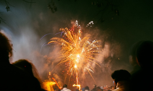 दिल्ली हाईकोर्ट ने राष्ट्रीय राजधानी में पटाखों की बिक्री और पटाखे छोड़ने पर पूर्ण प्रतिबंध के खिलाफ दायर याचिका खारिज की