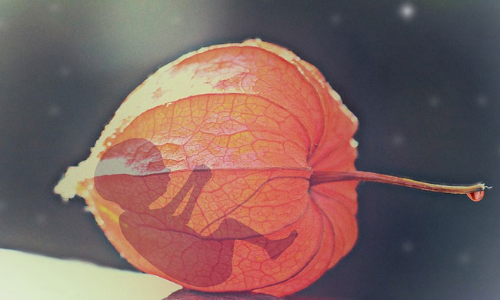 गुजरात हाईकोर्ट ने कथित नाबालिग बलात्कार पीड़िता को अपने जोखिम पर टर्मिनेशन ऑफ प्रेग्नेंसी पर जोर देने की अनुमति दी