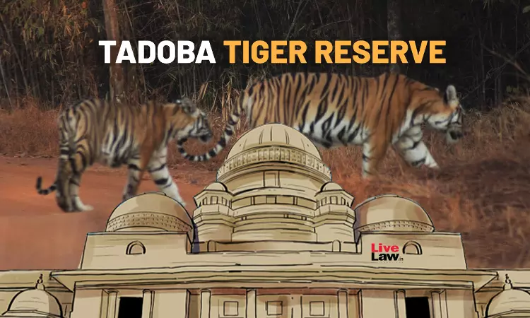 प्रथम दृष्टया वन अधिकारी तय प्रक्रिया का पालन किए बिना तडोबा टाइगर रिजर्व के पास आदिवासियों को बेदखल करना चाहते हैं: बॉम्बे हाईकोर्ट