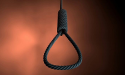 5 साल की बच्ची से दुष्कर्म-हत्या मामले में दोषी की फांसी पर सुप्रीम कोर्ट ने लगाई रोक