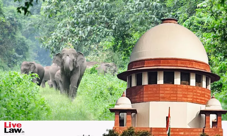 कोई भी राज्य व्यक्तियों या संपत्ति को नुकसान का हवाला देकर हाथी गलियारे को अवरुद्ध नहीं कर सकता: सुप्रीम कोर्ट कोई भी राज्य व्यक्तियों या संपत्ति को नुकसान का हवाला देकर हाथी गलियारे को अवरुद्ध नहीं कर सकता: सुप्रीम कोर्ट