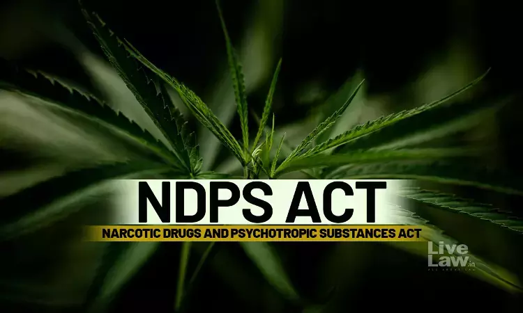 गांजे के पत्ते और डंठल गांजा नहीं: दिल्ली हाईकोर्ट ने NDPS केस में ज़मानत दी, कमर्शियल मात्रा पर संदेह जताया