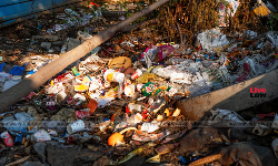 सिंगल यूज़ प्लास्टिक प्रतिबंध: 36 माइक्रोन शराब लेबल टेंडर पर राजस्थान हाइकोर्ट ने आबकारी विभाग से जवाब मांगा