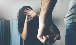 सिर्फ़ घरेलू हिंसा का केस पेंडिंग होने की वजह से पति को विदेश यात्रा के अधिकार से वंचित नहीं किया जा सकता: मद्रास हाईकोर्ट