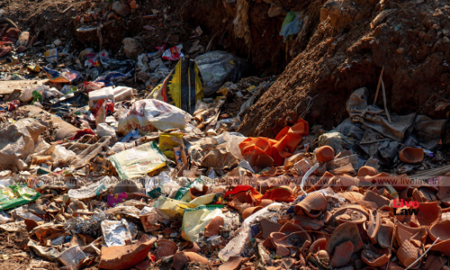 राजस्थान हाईकोर्ट ने शहर की सफ़ाई पर असंतोष जताया, कहा - कचरा ठीक से न फेंकने पर नागरिकों पर जुर्माना लग सकता है