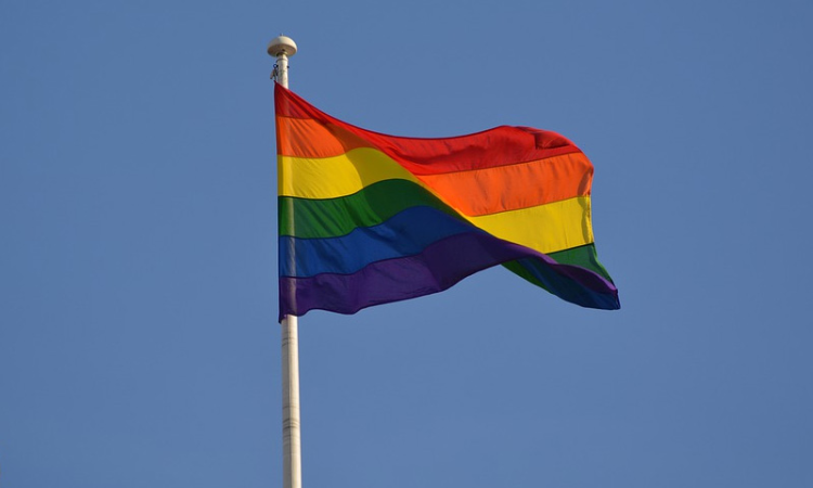 ट्रांसजेंडर को OBC में शामिल करने पर राज्य को फटकार, कहा—संवैधानिक दायित्व से पीछे हटी सरकार: राजस्थान हाईकोर्ट