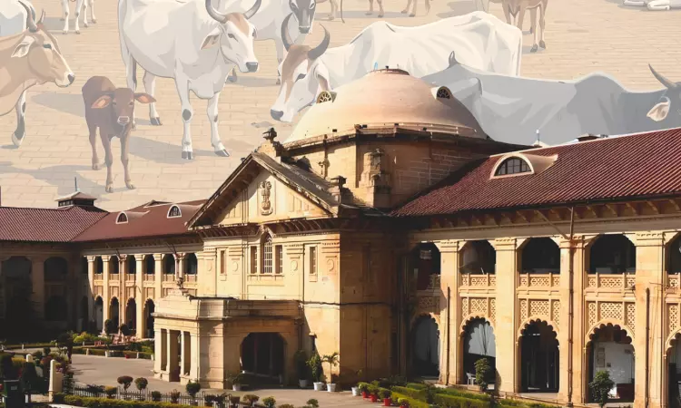 अवैध जब्ती और जल्दबाज़ी में नीलामी पर राज्य सरकार को झटका: इलाहाबाद हाईकोर्ट ने कम-से-कम 2 लाख मुआवज़े का आदेश दिया