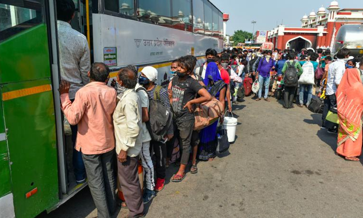 बिना टिकट 59 यात्रियों को ले जाना भारी पड़ा, इलाहाबाद हाईकोर्ट ने बस कंडक्टर की बर्खास्तगी बरकरार रखी