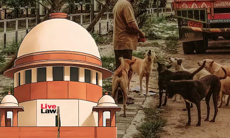 कुत्तों को संस्थागत परिसरों में रहने का पूर्ण अधिकार नहीं, ABC नियम ऐसे परिसरों में उन्हें छोड़ने को अनिवार्य नहीं बनाते: सुप्रीम कोर्ट