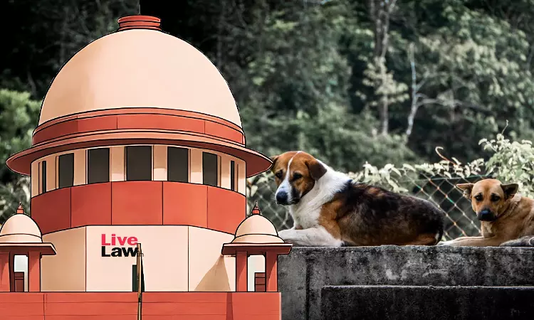 BREAKING | सुप्रीम कोर्ट ने खारिज की रेबीज़ वाले कुत्तों की इच्छामृत्यु के खिलाफ NGO की याचिका