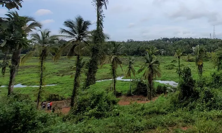 राजस्थान हाईकोर्ट ने राज्य की आर्द्रभूमि के लिए खतरों पर स्वतः संज्ञान लिया, तुरंत सुरक्षा उपाय करने के आदेश दिए