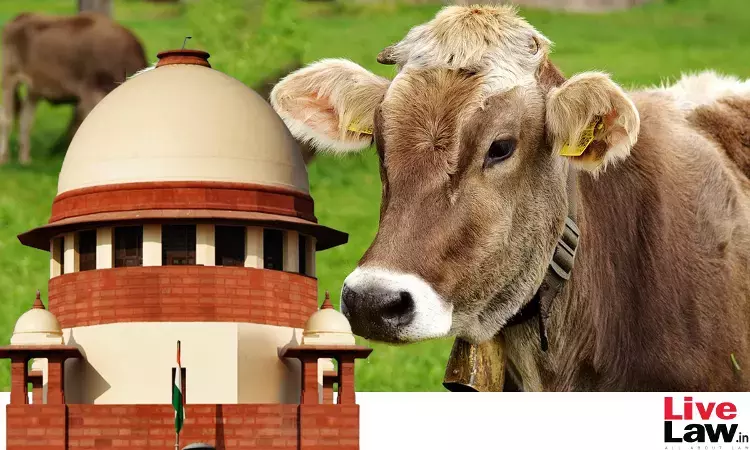 गायों के वध पर रोक लगाने वाले आदेश के खिलाफ सुप्रीम कोर्ट पहुंची तमिलनाडु सरकार गायों के वध पर रोक लगाने वाले आदेश के खिलाफ सुप्रीम कोर्ट पहुंची तमिलनाडु सरकार