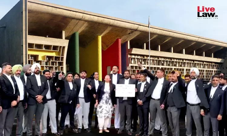 पंजाब-हरियाणा में वकीलों की हड़ताल के बाद NALSA का फ़ैसला: मौजूदा कार्यकाल के बाद LADC कॉन्ट्रैक्ट रिन्यू नहीं होंगे