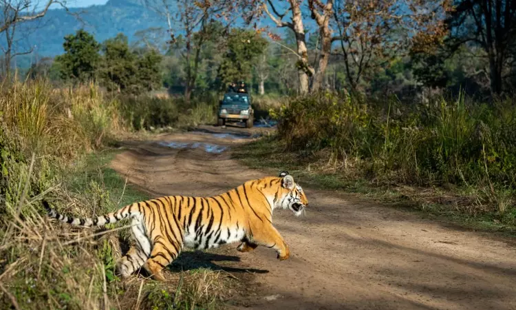 सरिस्का के 1 किमी दायरे में पब्लिक यूटिलिटी के नाम पर जमीन अधिग्रहण रद्द, राजस्थान HC का फैसला सरिस्का के 1 किमी दायरे में पब्लिक यूटिलिटी के नाम पर जमीन अधिग्रहण रद्द, राजस्थान HC का फैसला