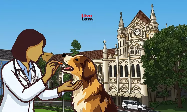 पशु डॉक्टर बेजुबानों का इलाज करते हैं, उनकी सेवाओं को कमतर नहीं आंका जा सकता: एमपी हाईकोर्ट ने मेडिकल/डेंटल सर्जन के बराबर टाइम-स्केल वेतन बरकरार रखा