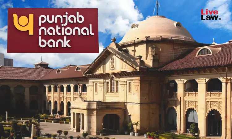 PNB में नौकरी का अनुभव सरकारी कार्यालय का अनुभव नहीं, इलाहाबाद हाईकोर्ट ने खारिज की याचिका