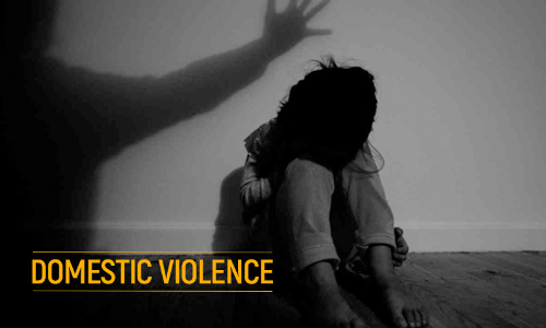 घरेलू संबंध के बिना PWDV Act के तहत कार्यवाही नहीं: केरल हाईकोर्ट
