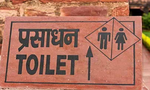 स्वच्छ सार्वजनिक शौचालयों तक पहुंच जीवन के अधिकार का हिस्सा: दिल्ली हाईकोर्ट ने सोशल वर्क के छात्रों से औचक निरीक्षण कराने का प्रस्ताव दिया